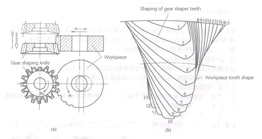 The principle of gear shaping